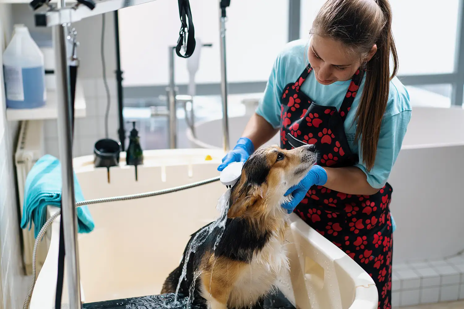 a woman washing a dog